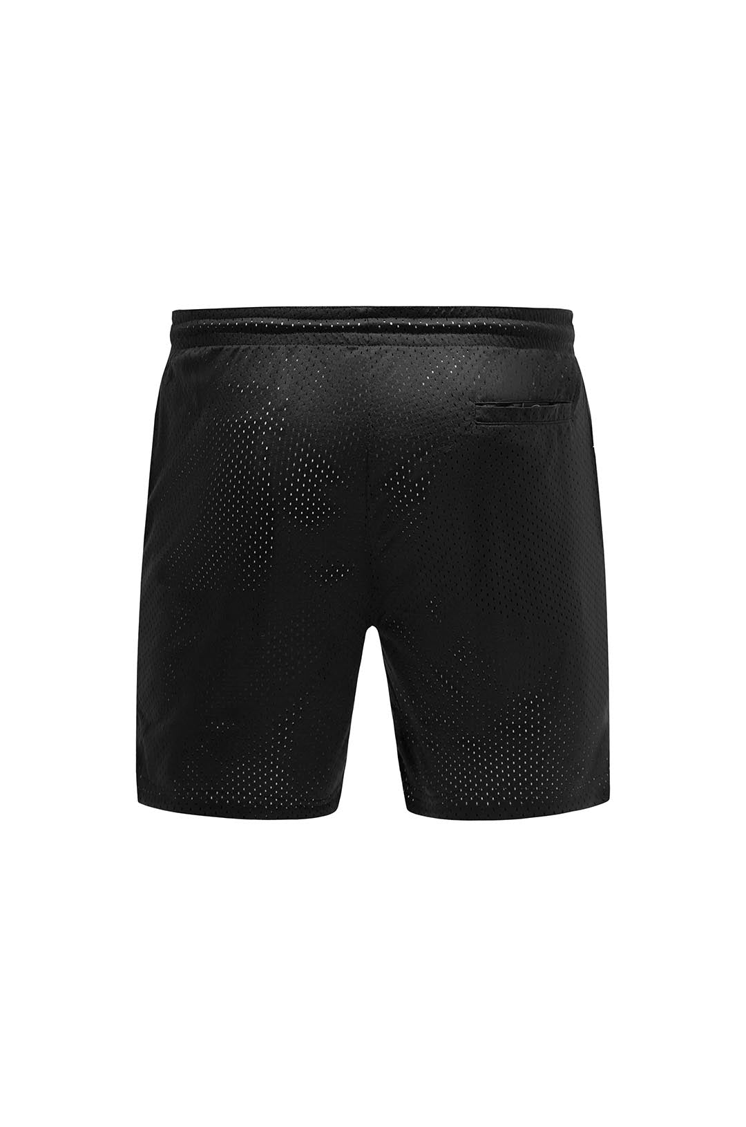 Mesh Shorts