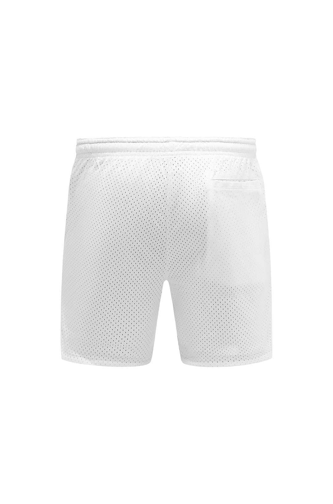 Mesh Shorts