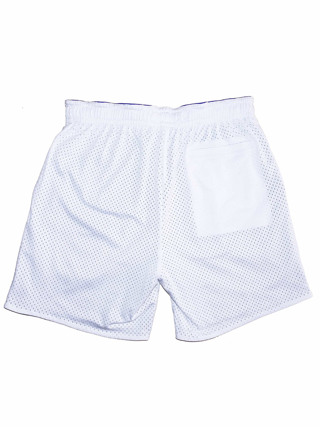 Mesh Shorts